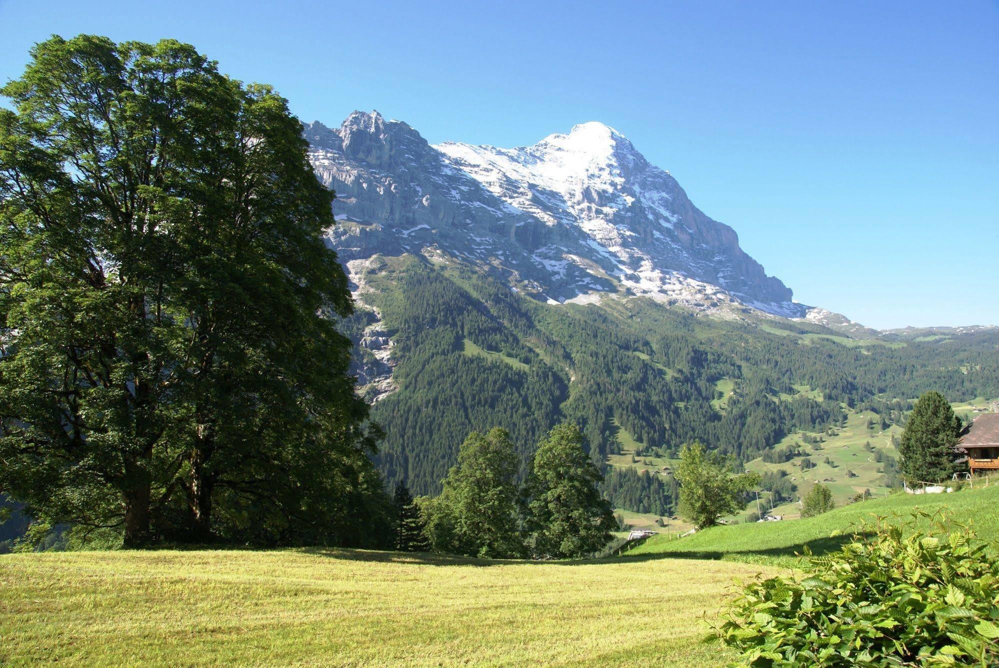 Apartment Nussbaum - Griwa Rent Ag Grindelwald Bagian luar foto
