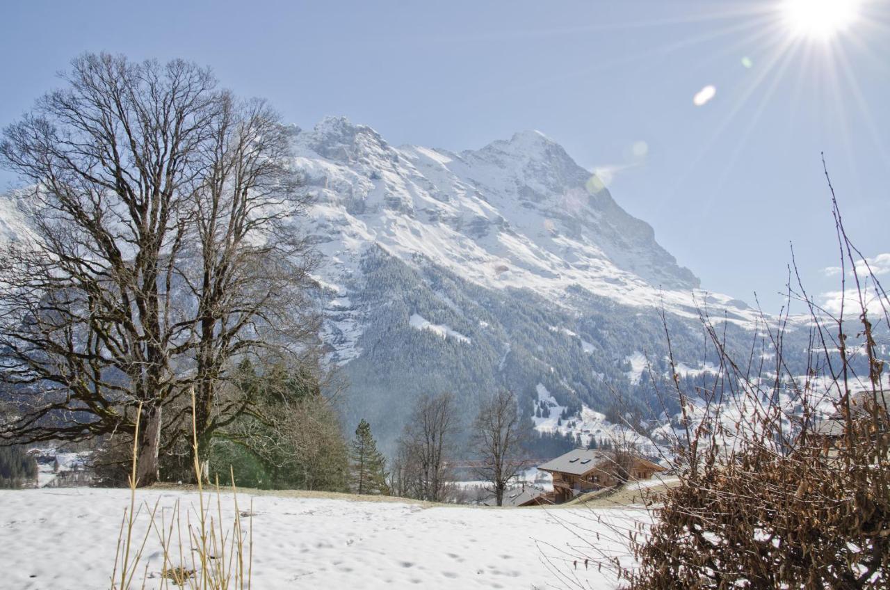 Apartment Nussbaum - Griwa Rent Ag Grindelwald Bagian luar foto