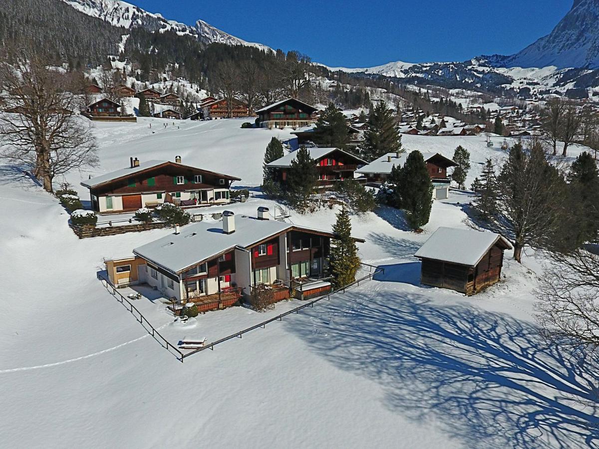 Apartment Nussbaum - Griwa Rent Ag Grindelwald Bagian luar foto